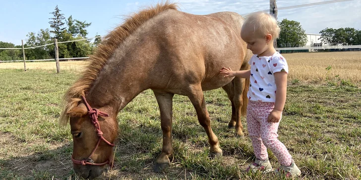 Zkuste si být na den farmářem: koně a poníci, teorie i zemědělské stroje