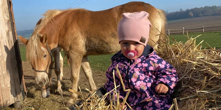 Zkuste si být na den farmářem: koně a poníci, teorie i zemědělské stroje