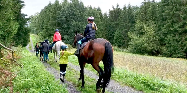 Příměstský tábor u koní pro děti od 7 do 15 let: jezdecké lekce, vyjížďky, péče o koně i soutěže