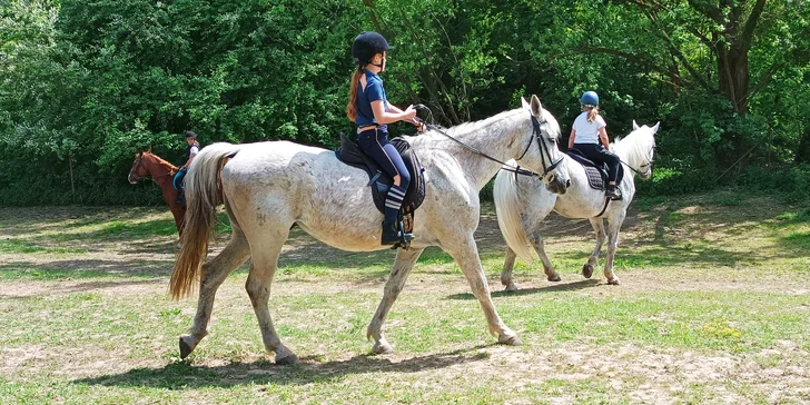 Příměstský tábor u koní pro děti od 7 do 15 let: jezdecké lekce, vyjížďky, péče o koně i soutěže