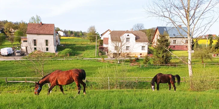 Příměstský tábor u koní pro děti od 7 do 15 let: jezdecké lekce, vyjížďky, péče o koně i soutěže