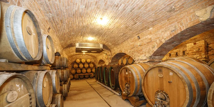 Letní relax na jižní Moravě: ubytování mezi vinicemi, polopenze a víno