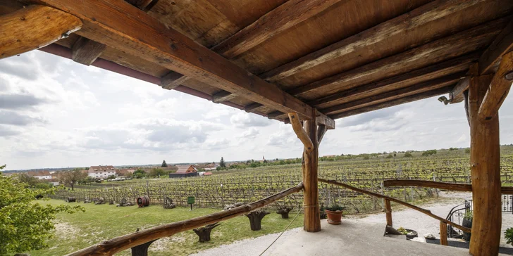 Letní relax na jižní Moravě: ubytování mezi vinicemi, polopenze a víno