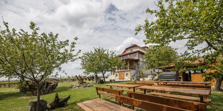 Letní relax na jižní Moravě: ubytování mezi vinicemi, polopenze a víno