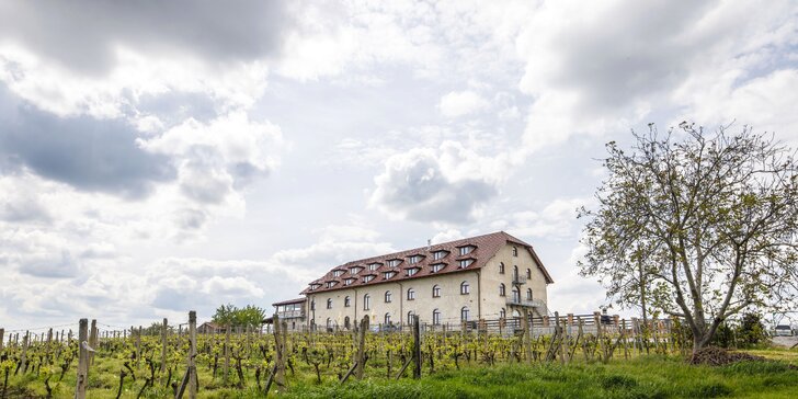 Skvělý relax na jižní Moravě až pro 6 osob: ubytování mezi vinicemi, polopenze a víno