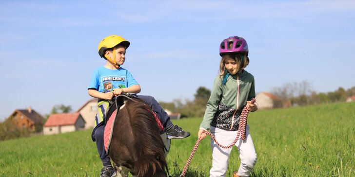 Prohlídka stáje s povídáním a pro děti 45minutová jízda na poníkovi v doprovodu vodiče