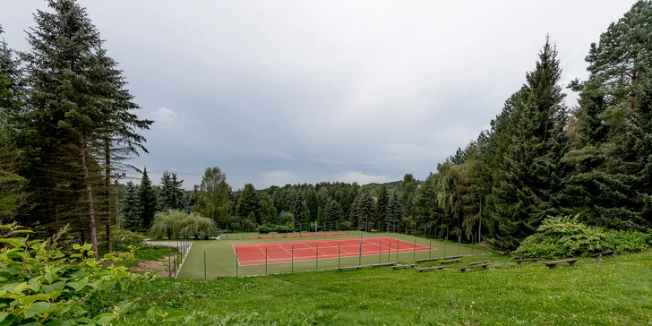 Dovolená v přírodě: ubytování v hotelu, polopenze, hodina bazénu každý den, kopa míst na výlety