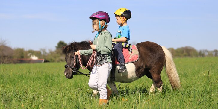 Prohlídka stáje s povídáním a pro děti 45minutová jízda na poníkovi v doprovodu vodiče
