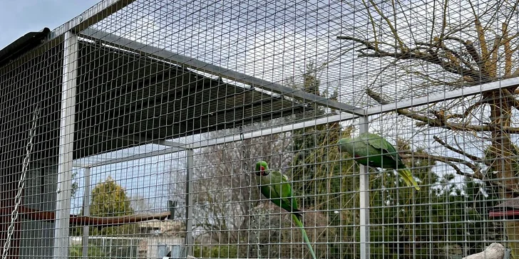 Venkovní minigolf i se stripsy a hranolky pro děti, dospělé či rodinu