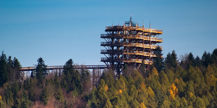 Pobyt v lázeňském městečku Krynica-Zdrój: neomezený wellness se saunou a bazénem i strava