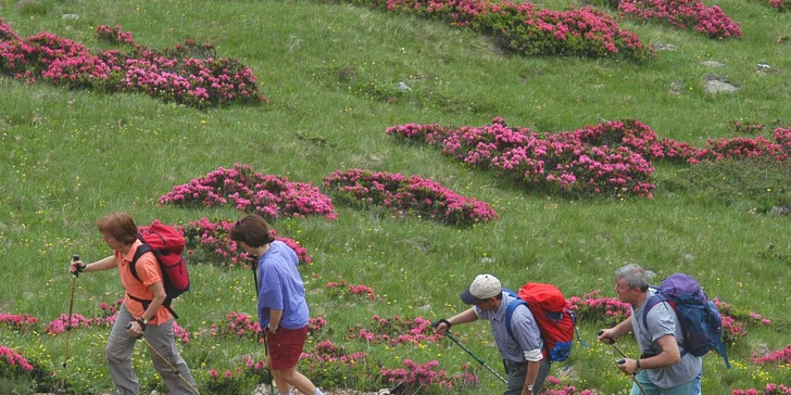 Dolomity v létě: polopenze, wellness se saunou a bazénem, možnost Val di Sole Card