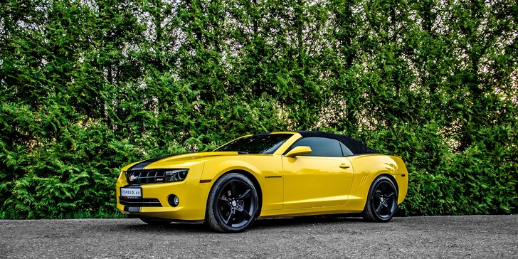 Americká kára dle výběru: 20–60 min. jízdy v Dodgi Challenger, Chevroletu Camaro či Fordu Mustang