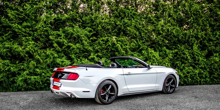 Ford Mustang 3.7 V6 Cabrio na 12 či 24 hodin