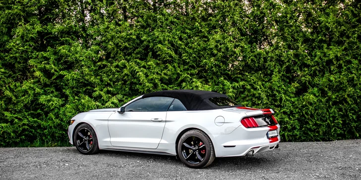 Ford Mustang 3.7 V6 Cabrio na 12 či 24 hodin