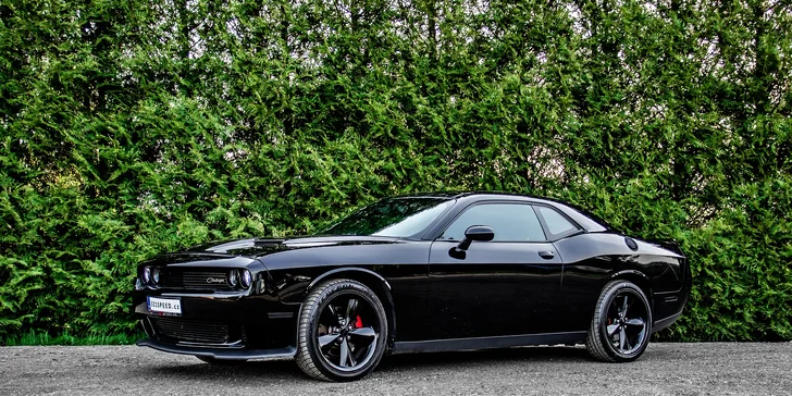 Americká kára dle výběru: 20–60 min. jízdy v Dodgi Challenger, Chevroletu Camaro či Fordu Mustang