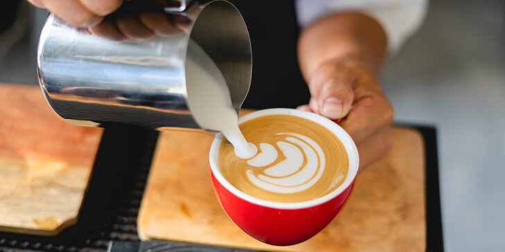 3hodinový baristický kurz: vše o kávě včetně praxe u kávovaru a napěňování mléka