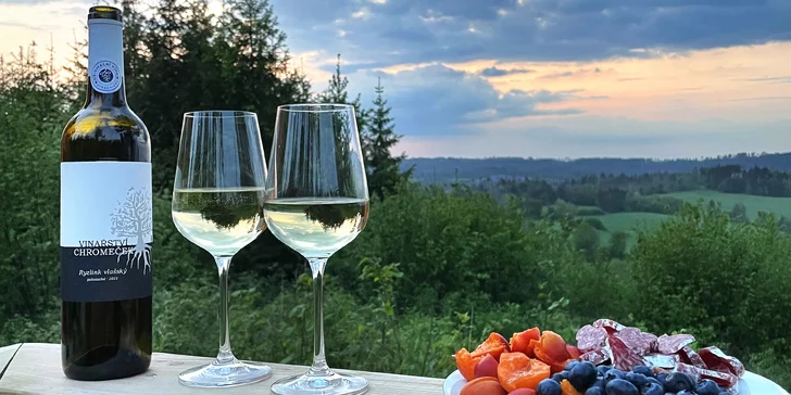 Treehouse na Vysočině: prosklené stěny i střecha s dechberoucím výhledem, venkovní wellness