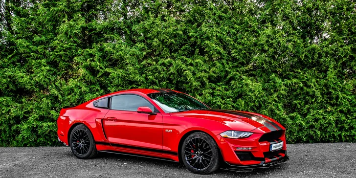 Zapůjčení Fordu Mustang GT 5.0 V8 paket Shelby na 12 či 24 hodin