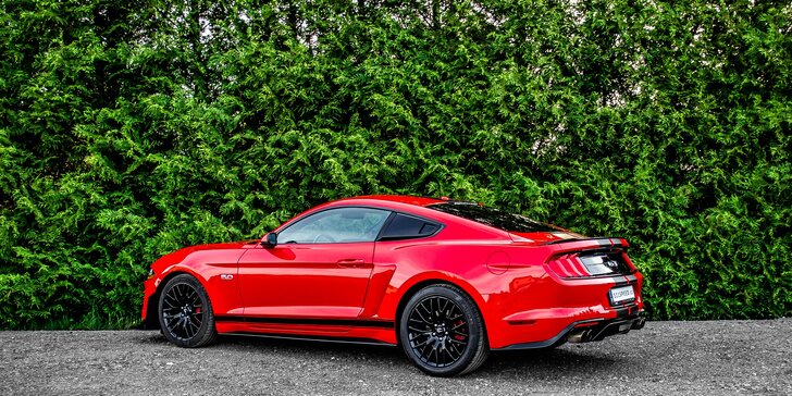 Zapůjčení Fordu Mustang GT 5.0 V8 paket Shelby na 12 či 24 hodin