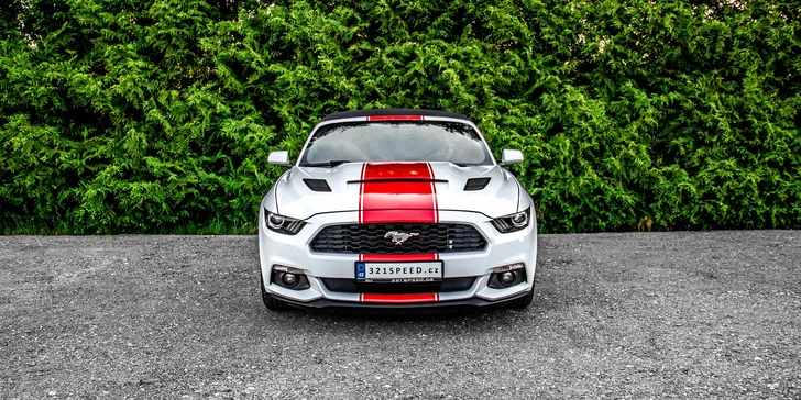 Ford Mustang 3.7 V6 Cabrio na 12 či 24 hodin