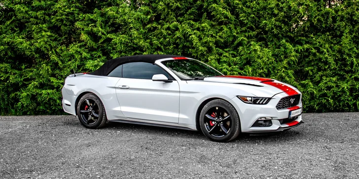 Ford Mustang 3.7 V6 Cabrio na 12 či 24 hodin