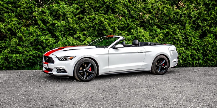 Ford Mustang 3.7 V6 Cabrio na 12 či 24 hodin