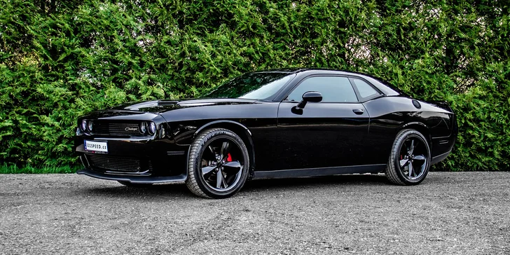 Dodge Challenger 5.7 V8 HEMI black na 12 či 24 hodin