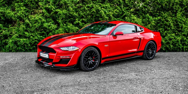 Zapůjčení Fordu Mustang GT 5.0 V8 paket Shelby na 12 či 24 hodin