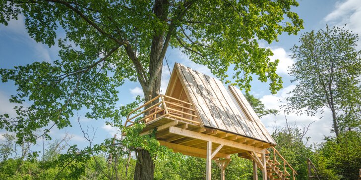 Treehouse na Vysočině: prosklené stěny i střecha s dechberoucím výhledem, venkovní wellness