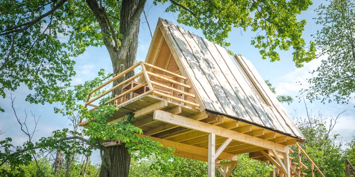 Treehouse na Vysočině: prosklené stěny i střecha s dechberoucím výhledem, venkovní wellness