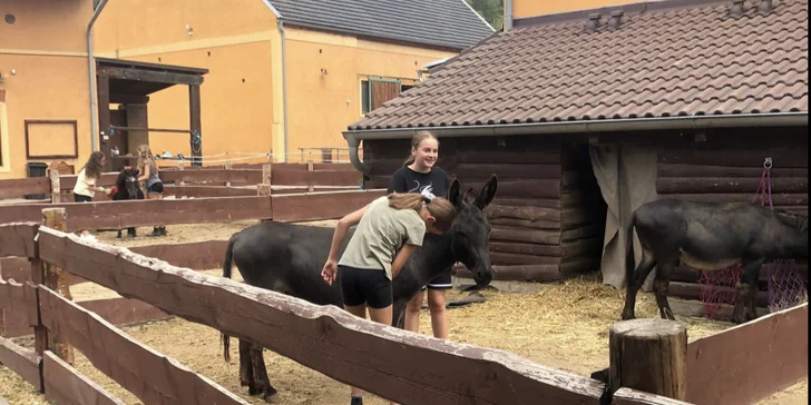 Výlet za zvířátky: hodina se svezením na koni, nebo den ošetřovatelem na Selském dvoře Braňany