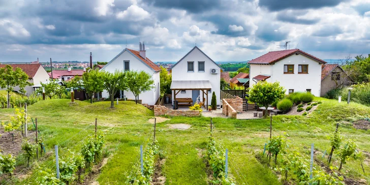 Velké Bílovice: pronájem vinného sklepa i ubytování vč. občerstvení