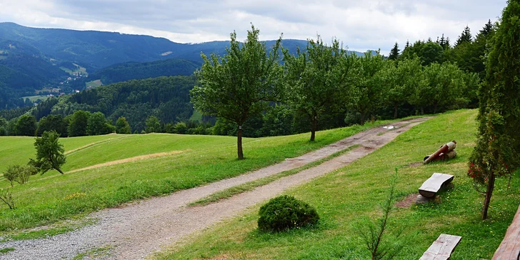 Pobyt na chatě v Beskydech: pokoje se společnou i vlastní koupelnou, snídaně či polopenze, wellness