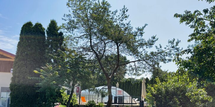 Skvělá dovolená v Lednici: polopenze, víno i jízda kočárem po zámeckém parku