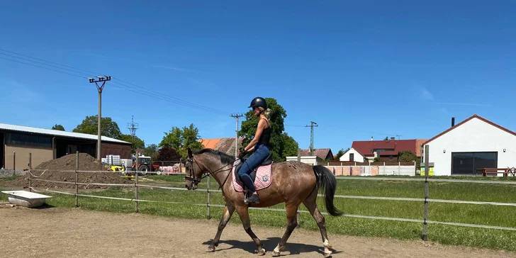 Hodinová projížďka na poníkovi či koni na Rodinné farmě Bukovi pro děti i dospělé