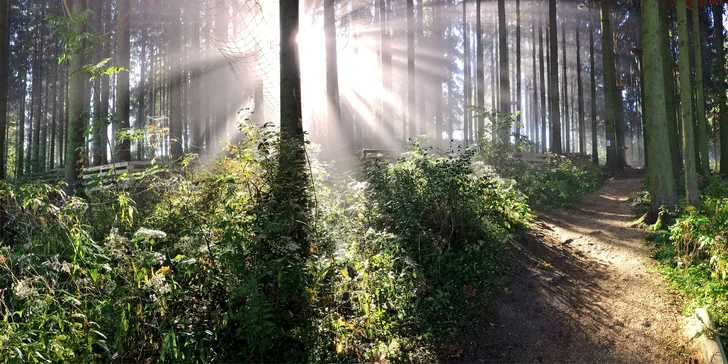 Vstup do lanového Adventure Parku na Lipně: obtížnosti pro děti i dospělé