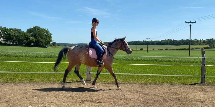 Hodinová projížďka na poníkovi či koni na Rodinné farmě Bukovi pro děti i dospělé