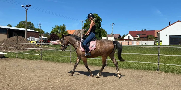 Hodinová projížďka na poníkovi či koni na Rodinné farmě Bukovi pro děti i dospělé