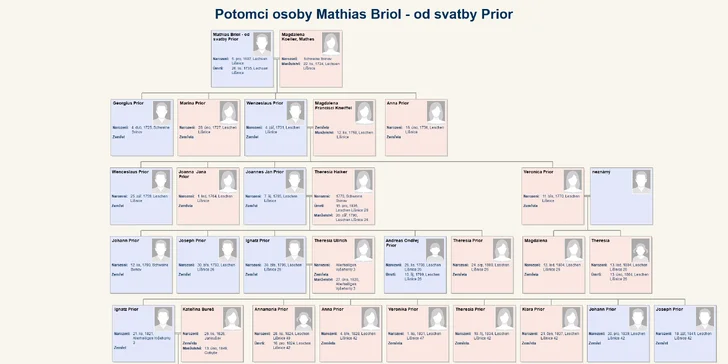 Vypracování rodokmenu, graficky zpracovaný rodinný strom či konzultace