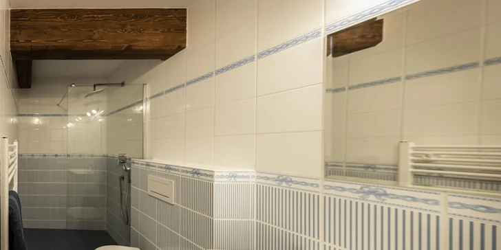 Pobyt s jízdou v sedle i povozem na koňské farmě v Jizerských horách: apartmány až pro 10 osob