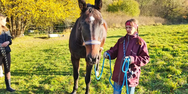 Péče o koně, přirozená komunikace nebo projížďka v přírodě pro 1 osobu