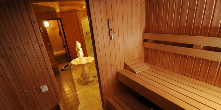 Pobyt ve 4* hotelu v Alpách: polopenze, neomezený wellness a lyžování