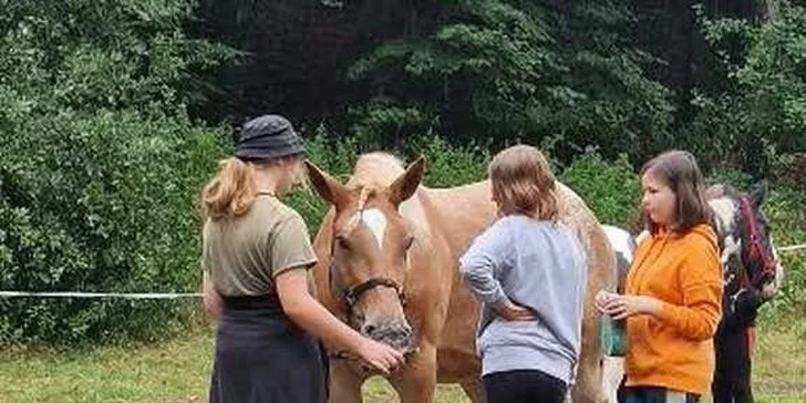 Dětské tábory: 4 místa napříč ČR, celé prázdniny, klasické i tematické vč. koňského nebo anglického