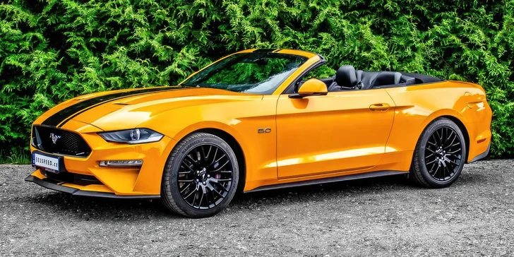 Brutální jízda s větrem ve vlasech: zapůjčení Fordu Mustang GT 5.0 V8 Cabrio na 12 či 24 hodin