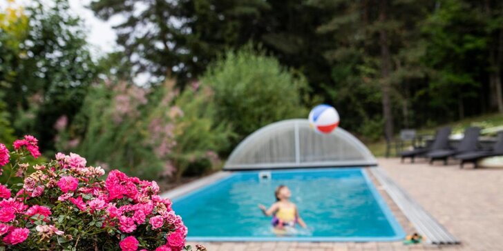 Pobyt ve spa penzionu nedaleko Krušných hor: snídaně, bazén a možnost wellness