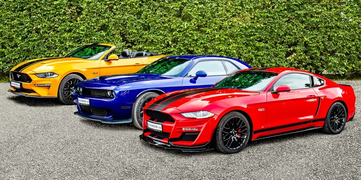 Americká kára dle výběru: 20–60 min. jízdy v Dodgi Challenger, Chevroletu Camaro či Fordu Mustang