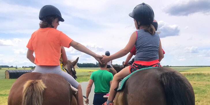 Zážitek s koníkem: vyjížďka či lekce jízdy s trenérem vč. péče o koně i jízda kočárem