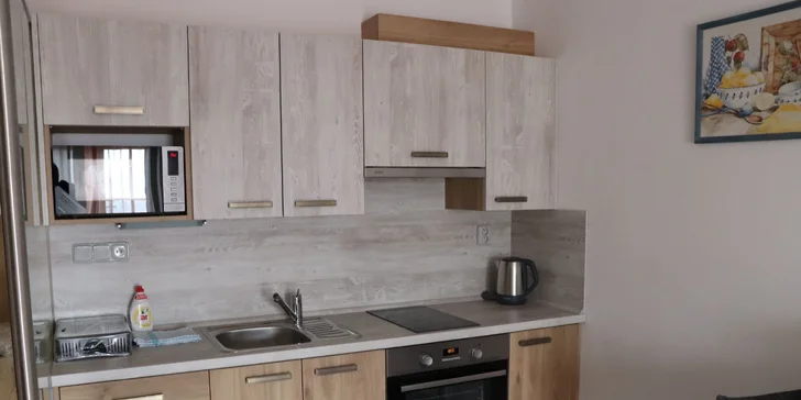 Apartmány v Horní Plané s výhledem na Lipno: venkovní posezení s grilem, infrasauna