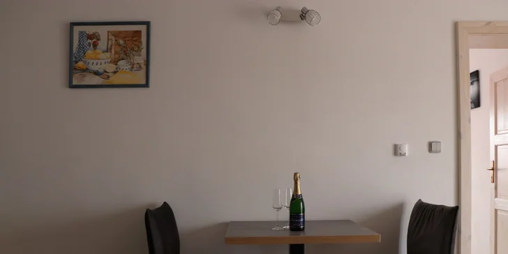 Apartmány v Horní Plané s výhledem na Lipno: venkovní posezení s grilem, infrasauna
