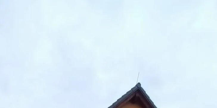 Apartmány v Horní Plané s výhledem na Lipno: venkovní posezení s grilem, infrasauna